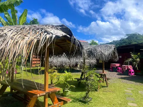 Le jardin et ses parasols en niau, en journée